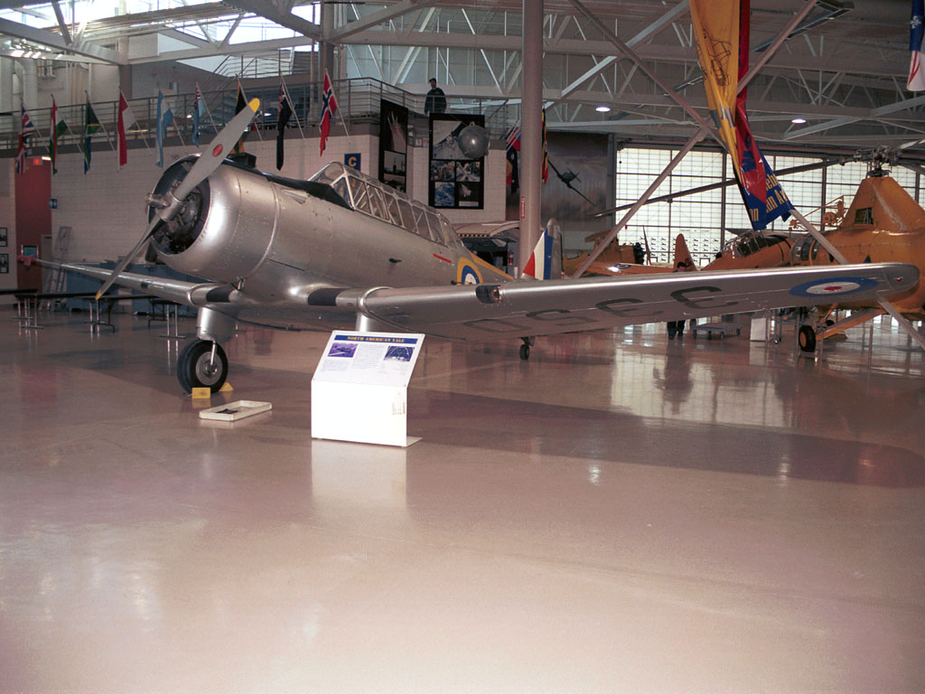 North American Yale - CF-CWZ (#3350) @ YHM (7 October 2003)